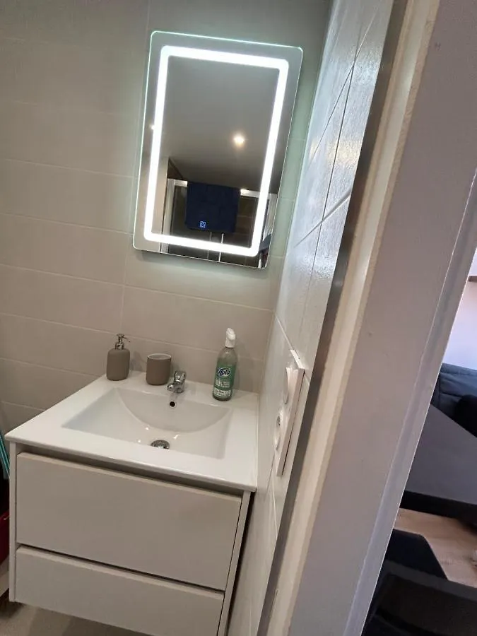 Le Cygne Blanc Apartment Toulouse