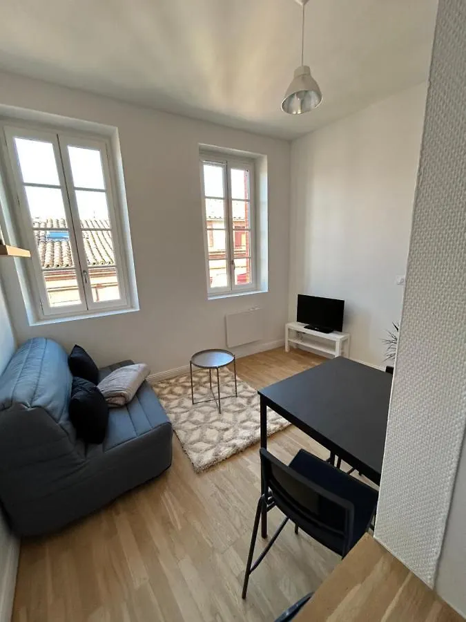 Le Cygne Blanc Apartment Toulouse