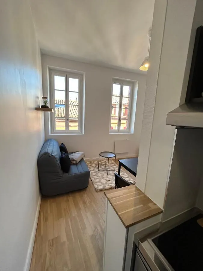 Le Cygne Blanc Apartment Toulouse 0*,  France