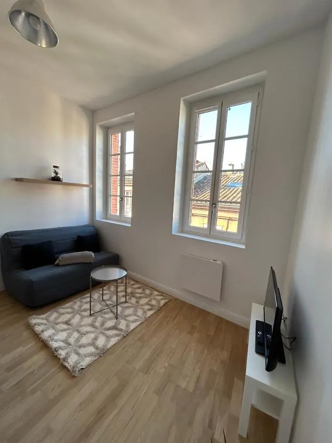Le Cygne Blanc Apartment Toulouse 0*,  France