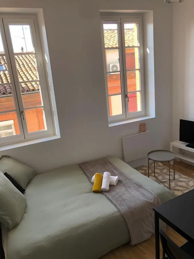 Le Cygne Blanc Apartment Toulouse France